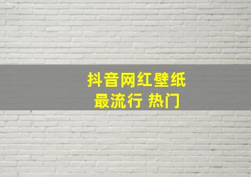 抖音网红壁纸 最流行 热门